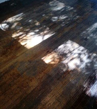 5th image of 847 N Los Robles Ave APT 2