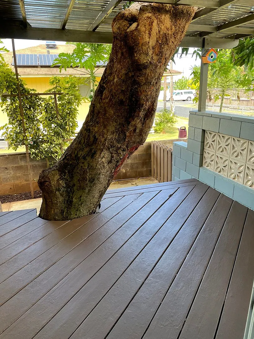 Close to Shopping and Beach — Photo 4