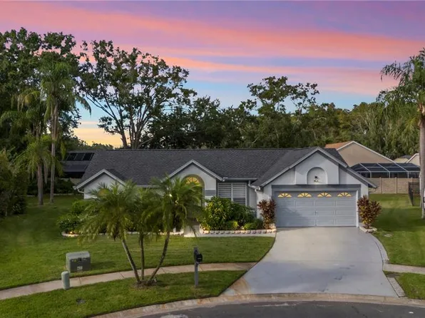 15101 Bald Eagle St, Tampa, FL 33625