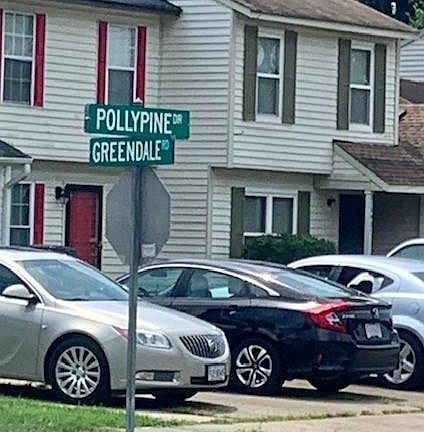 FOUND ACROSS THE STREET FROM THIS SIGN GREENDALE & POLLYPINE ON GREENDALE RD.  