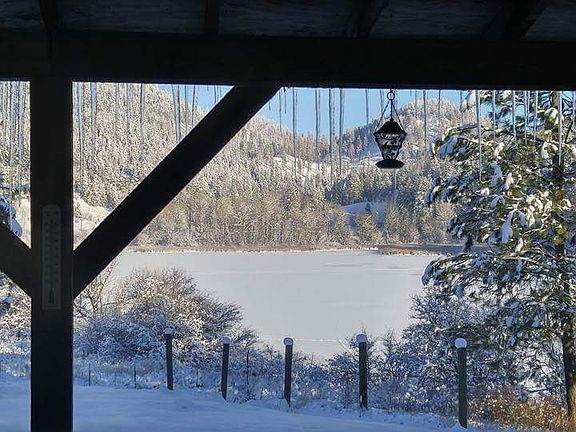 Beautiful in the winter