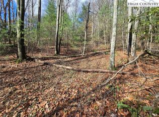 Lot 25 Riverstone, Laurel Springs, NC 28644
