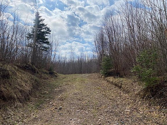 4th image of Near Wilson Lake Road