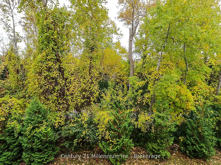 2 Brandy Lane Dr #304 — Photo 30