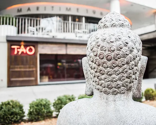 Rented by Compass | media 16