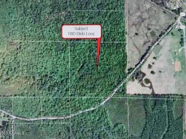 Dido Loop, Pitkin, LA 70656