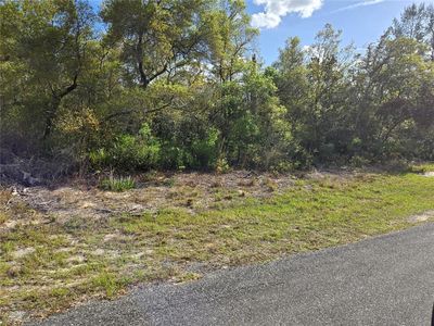 County Road 245c, Oxford, FL, 34484