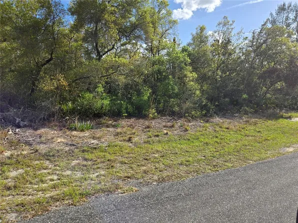 County Road 245c, Oxford, FL 34484