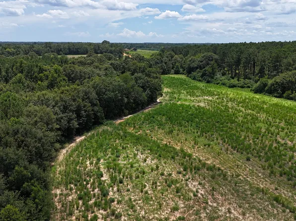 027F Wallace Buie Rd, Webb, AL 36376