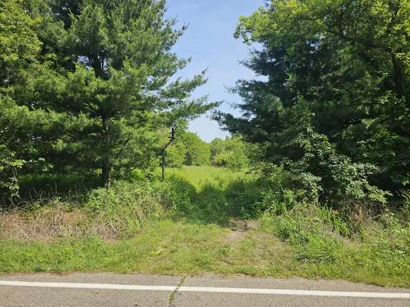18080 Calvin Hill St, Cassopolis, MI 49031
