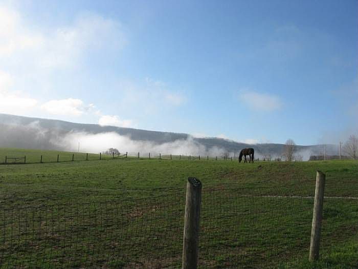 Welcome to Maple Meadows