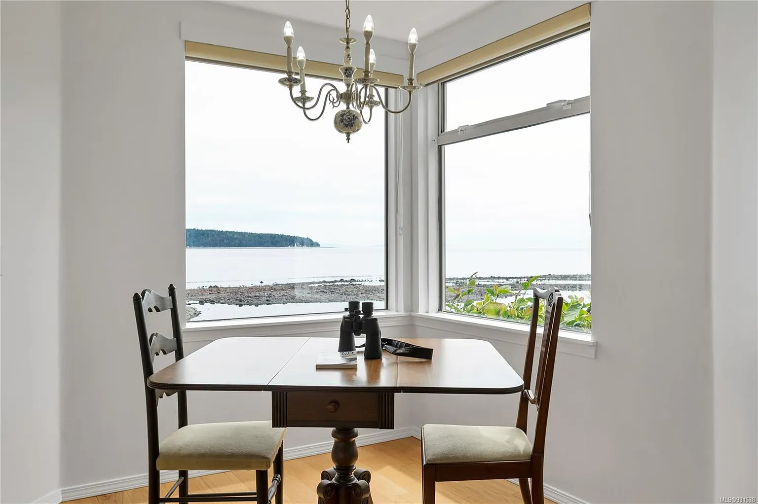 27 Island Hwy S #3207 photo 1