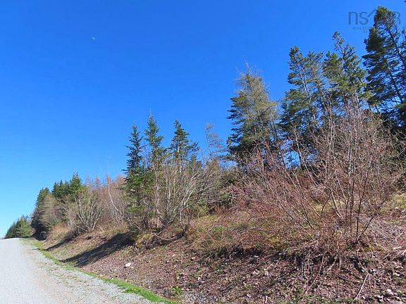 5th image of LOT 3 Rear Big Cove Rd