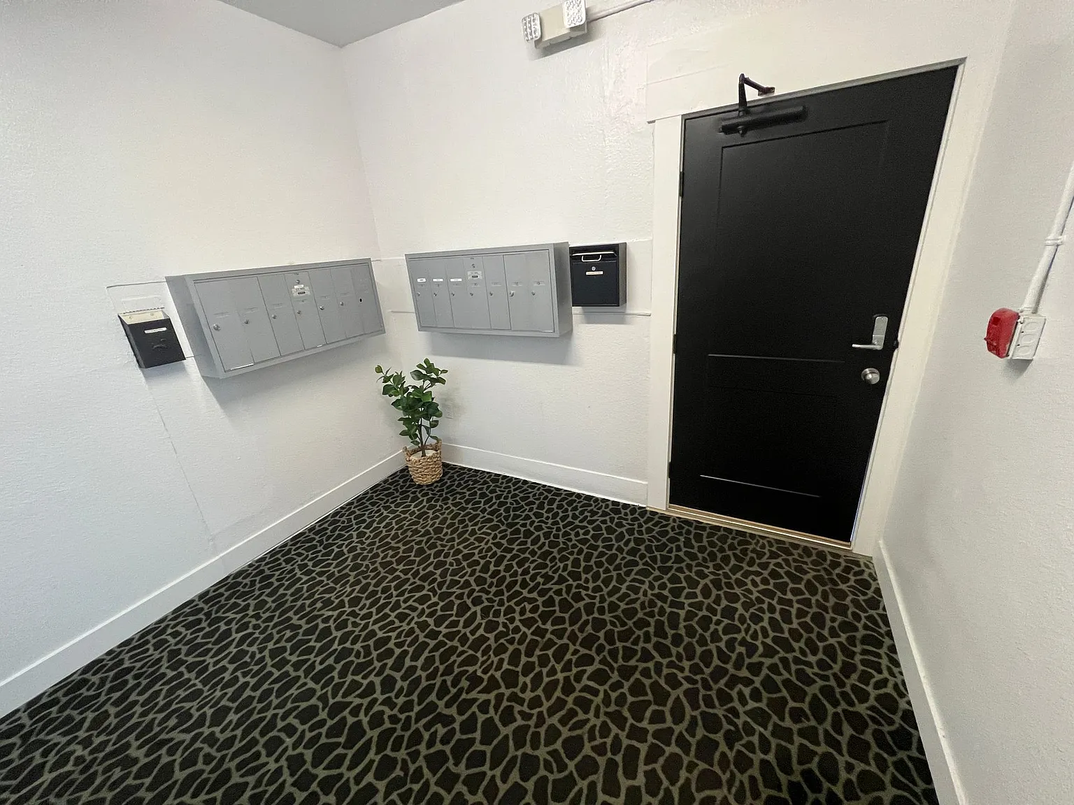 Adams Apartments — Photo 3