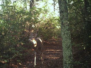 1148 Pole Bridge Road, Stuart, VA 24171