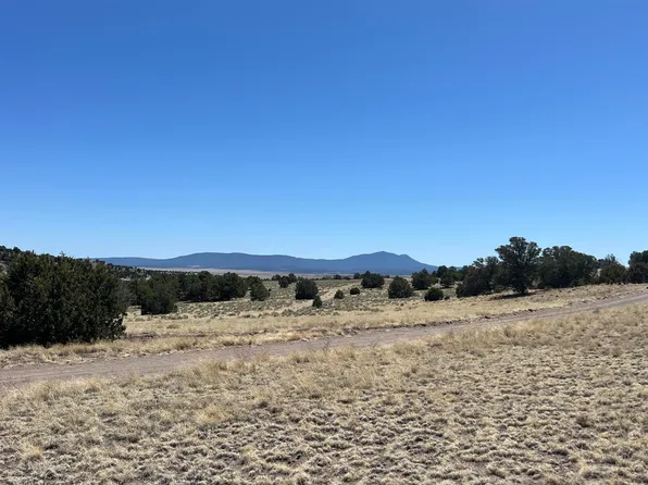 17 Golden Horseshoe Trl, Quemado, NM 87829