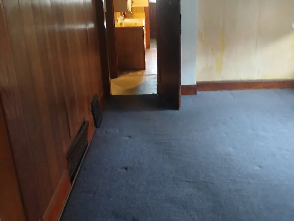 I have hardwood floors now no carpet