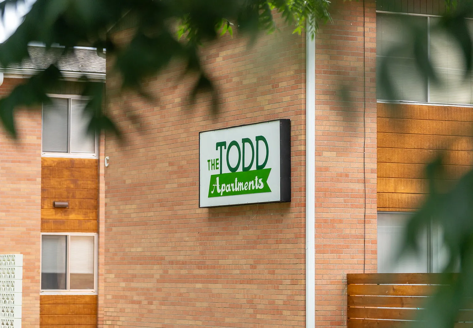 The Todd — Photo 4
