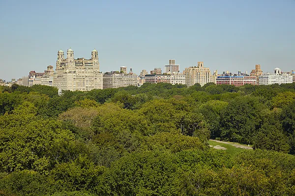 Sold by Stribling | media 19