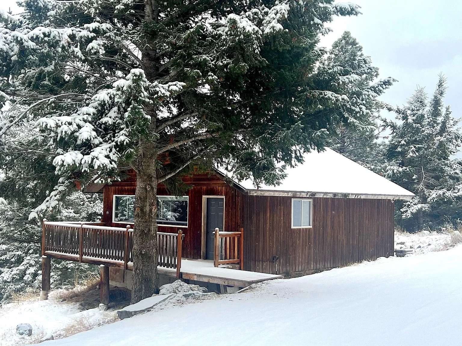 1 bed, 788 sqft, $1,850 — Photo 1