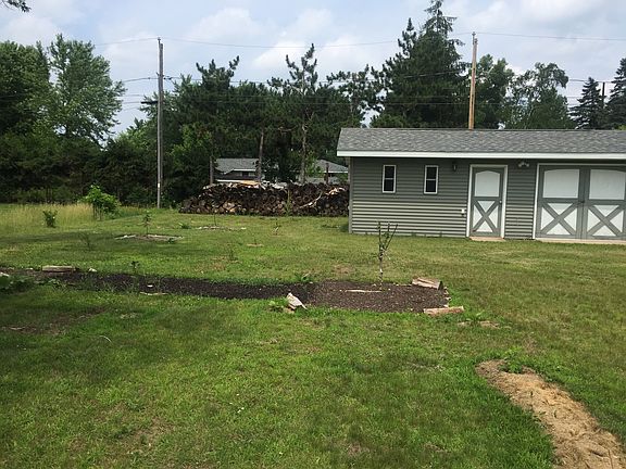 Back shed and fruit trees
