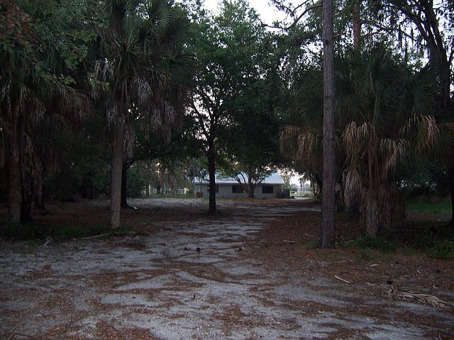 View from rear lot line.