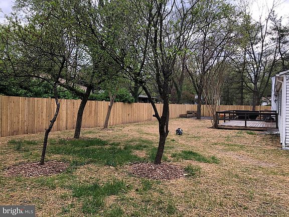 5th image of 411 Shetlands Ln