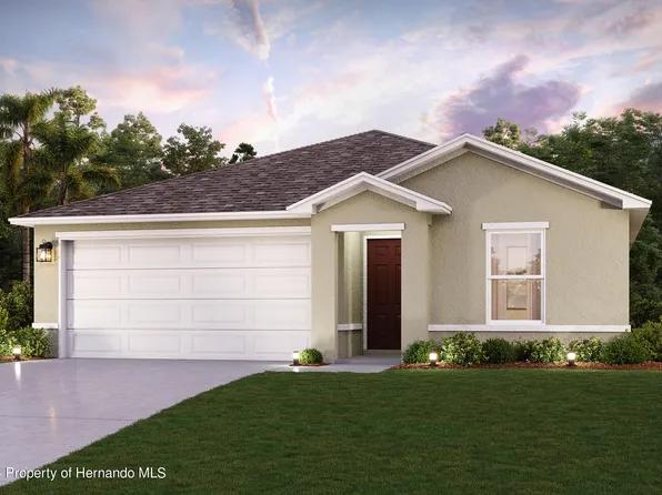 33439 August Ave, Webster, FL 33597