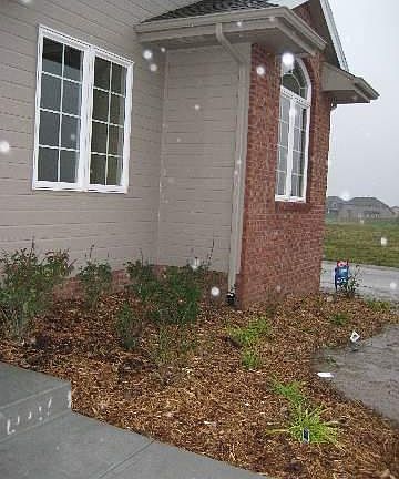 2nd image of 20509 Boyd St