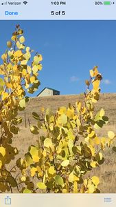 220 Coyote Crossing, Red Feather, CO, 80545