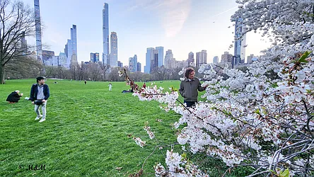 200 West 58th Street, #4C