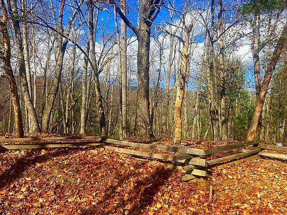 3rd image of Spitz Ln