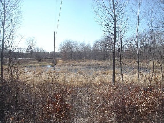 Our Wood Duck pond 