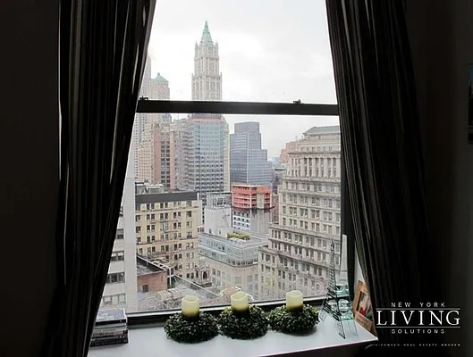 Rented by NY Living Solutions | media 36