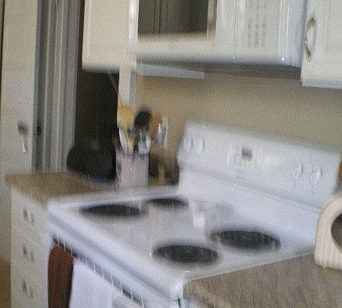 5th image of 109 E Durst Ave