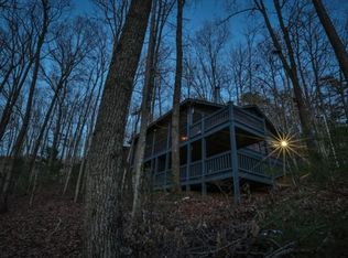 397 Laurel Creek Rd #3, Blue Ridge, GA 30513