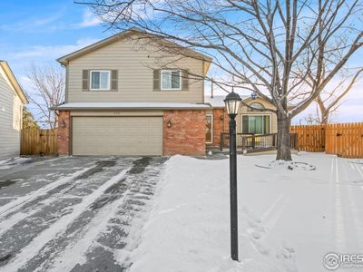 338 Slippery Elm Pl, Loveland, CO, 80538