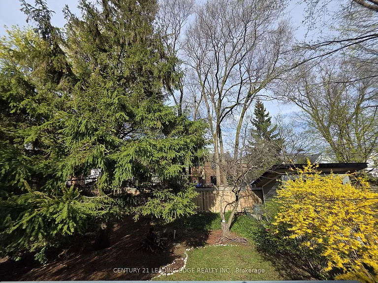 177 Fallingbrook Rd — Photo 18