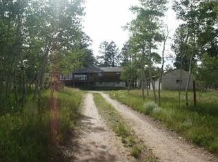 187 Beaver Trl, Bailey, CO 80421