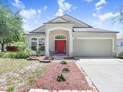 6915 Monarch Park Dr, Apollo Beach, FL, 33572
