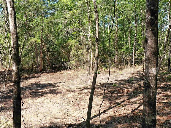 4th image of 3 Brookwood Dr
