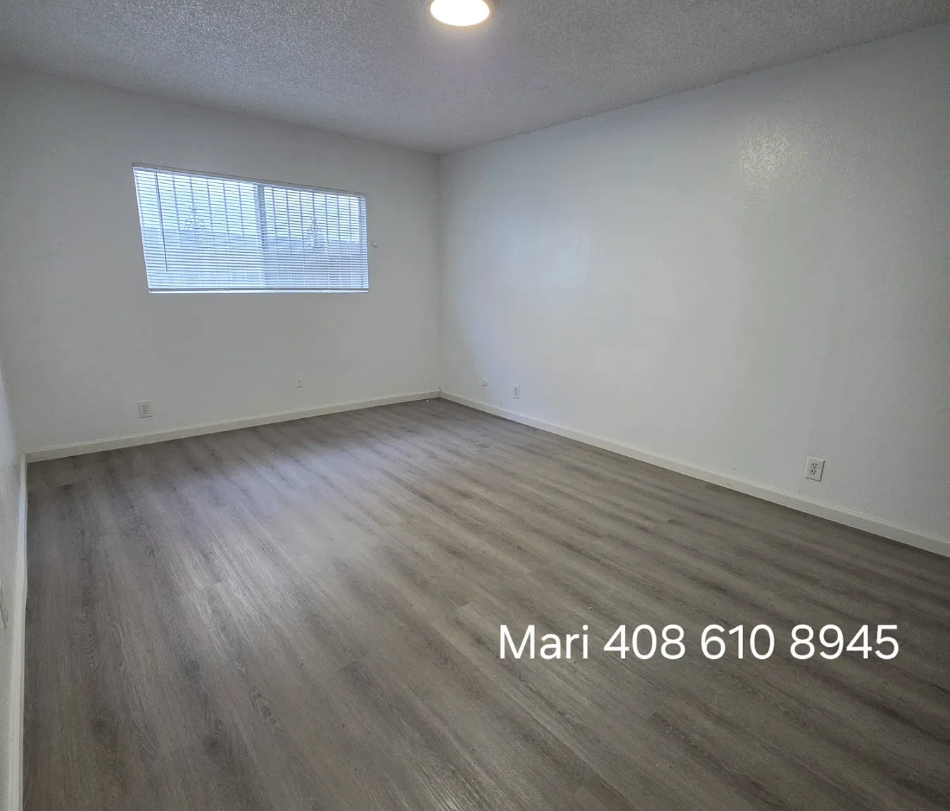 3 bed, 1125 sqft, $2,395 — Photo 3