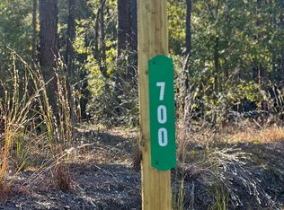 700 Penny Creek Dr, Ruffin, SC 29475