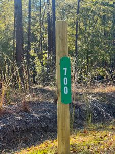 700 Penny Creek Dr, Ruffin, SC, 29475
