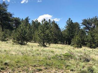 3467 Goldenburg Canyon Rd, Hartsel, CO 80449
