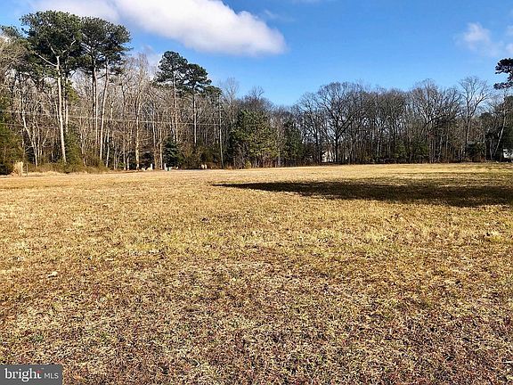 2nd image of 36033 Country Ln