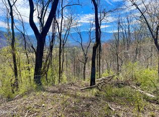 LOT 3R Three Pleasant Valley Rd, Cosby, TN 37722