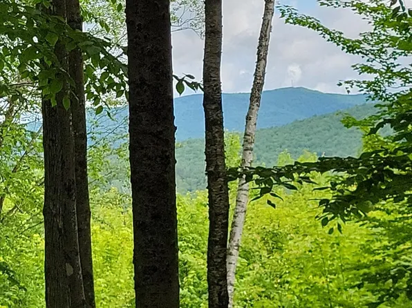Lot 36 Map Richardson Hollow Road, Greenwood, ME 04255