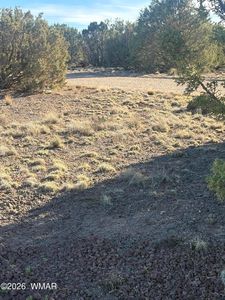 1757 Silver Lake Blvd, Show Low, AZ, 85901