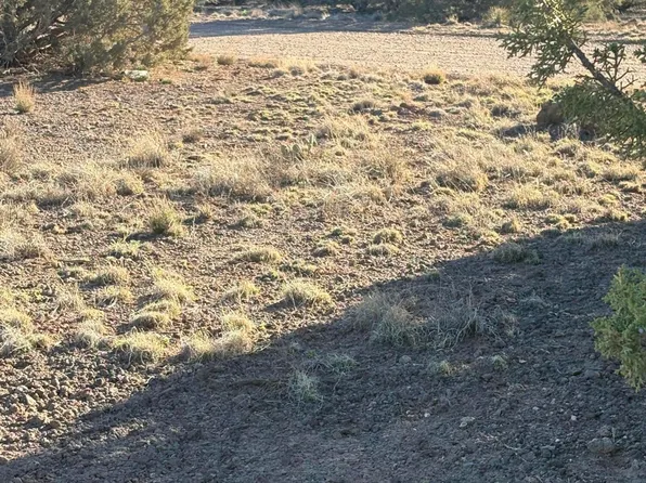 1757 Silver Lake Blvd, Show Low, AZ 85901